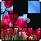 Beautiful Flower Game Puzzle