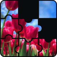 Beautiful Flower Game Puzzle