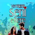 VERMEM SENİ ELLERE