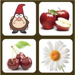 4 photos 1 word