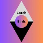 Catch birds - acumulate poin