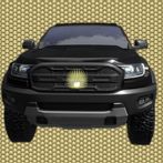 Raptor Simulator Drive City