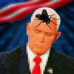 Catch the Flappy Fly - Mike Pe