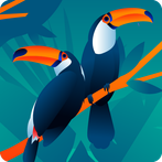 Color Bird Sort –Puzzle Game