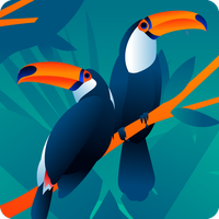 Color Bird Sort –Puzzle Game