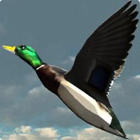 Duck Shoot VR