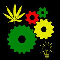 Higher Knowledge - Cannabis St