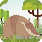 Armadillo Jump