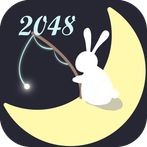 CountingStar 2048
