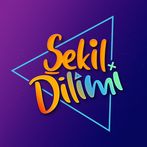 Şekil Dilimi