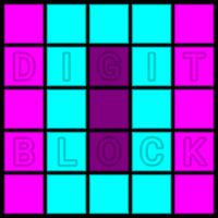 Digit Block