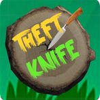 Theft Knife