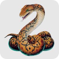 Snake 3D