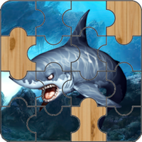 Shark Puzzle Jigsaw