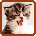 Cat Pixel Art