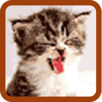Cat Pixel Art