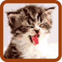 Cat Pixel Art
