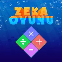Zekâ Oyunu