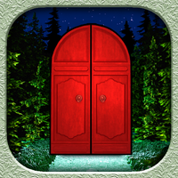 Night in the Deep Forest