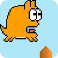 Zikky: First Adventure