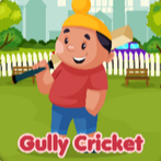 Gully Cricket 2024