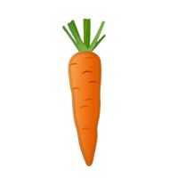Carrot Invaders