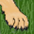 Keep your dog alive!