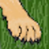 Keep your dog alive!