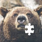 Rompecabezas de Osos