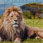 Jigsaw Puzzle Lions