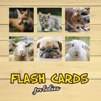Flash Cards