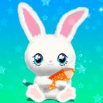 Honey Bunny Kids Coloring Book