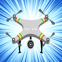 Super Flappy Drone Dunk kwaite