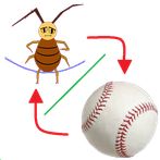 Combo:jump rope & baseball