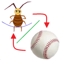Combo:jump rope & baseball