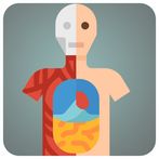 Gamifying Anatomy