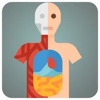 Gamifying Anatomy
