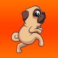 Runner Pug