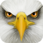 Ultimate Bird Simulator