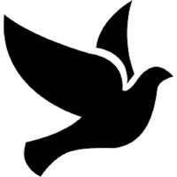 Flying Bird by Lakshika