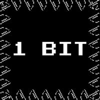 1 Bit