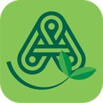 Quiz Amadora Sustentável