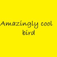 Amazingly cool bird
