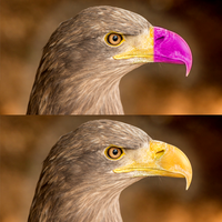 FIND IT - Spot the Difference