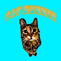 Sweety Cat Runner
