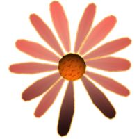 Loves me, loves me not? 3D