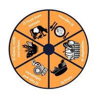 Nutrition Card Game Zambia