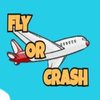 FLY OR CRASH