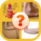Body Parts Quiz
