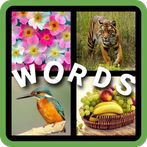 4 pics 1 word 2022-puzzle game